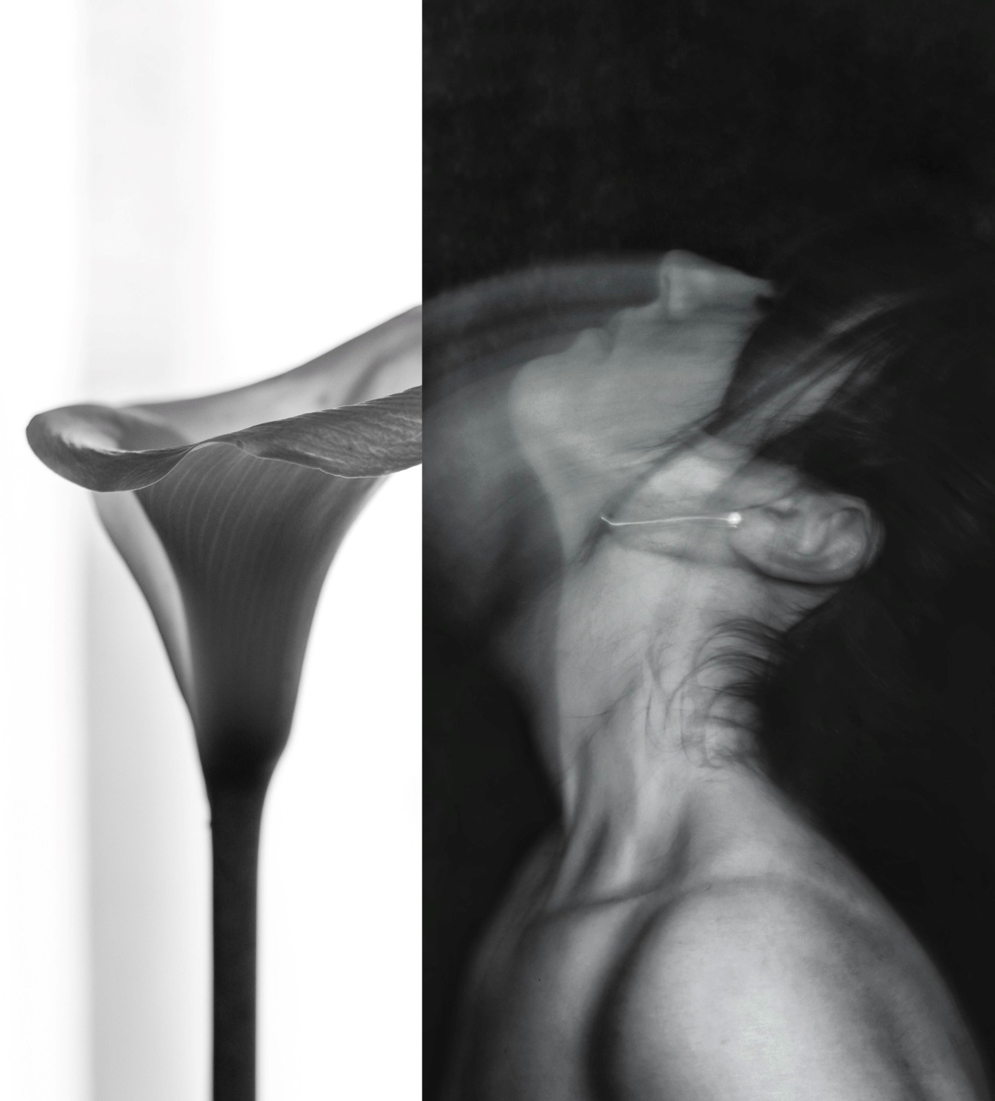 Fotografía 'Delirio', con la que Cristina Casadevall ha ganado el primer premio de este certamen | Diputación de Jaén | Ampliar imagen